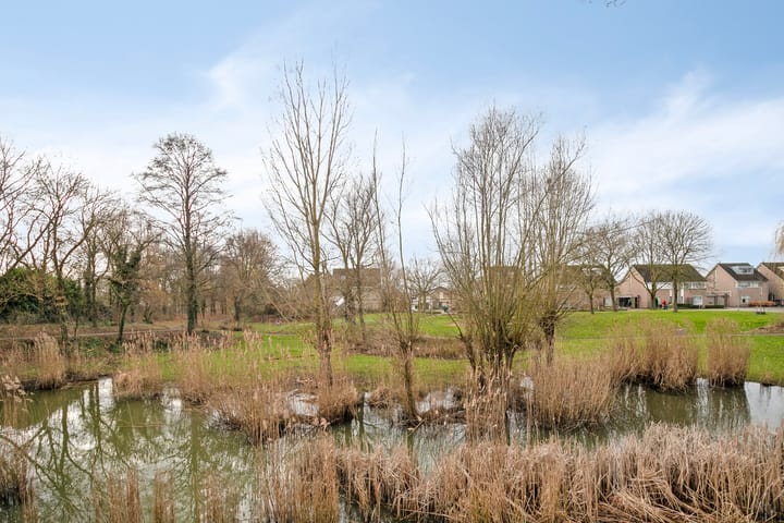 Foto 26 van Bellomontedomein 96