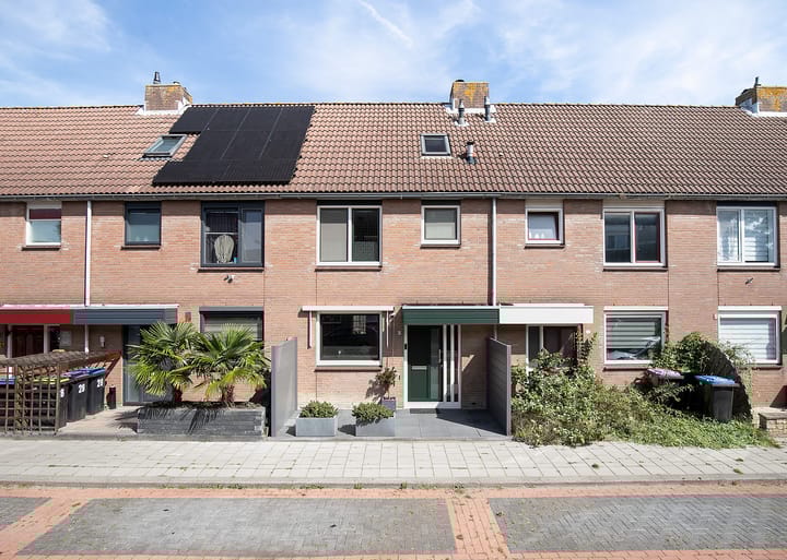 Photo 1 of Schaduwgras 26