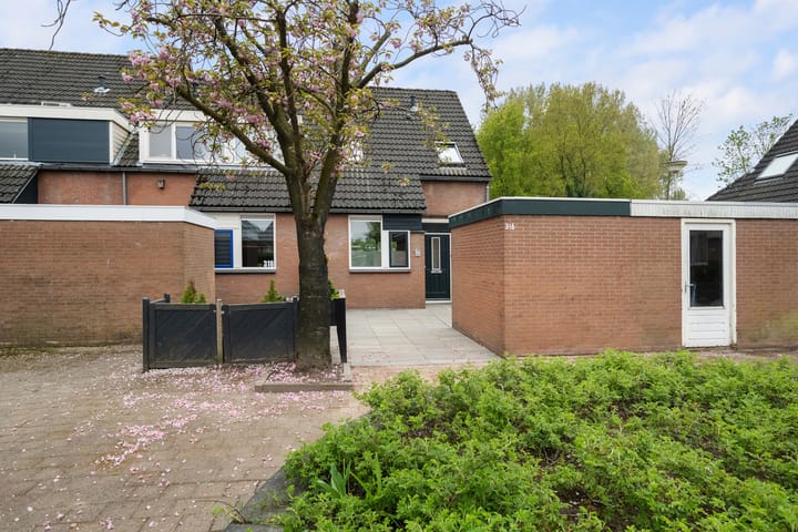 Foto 45 van Karperveen 316