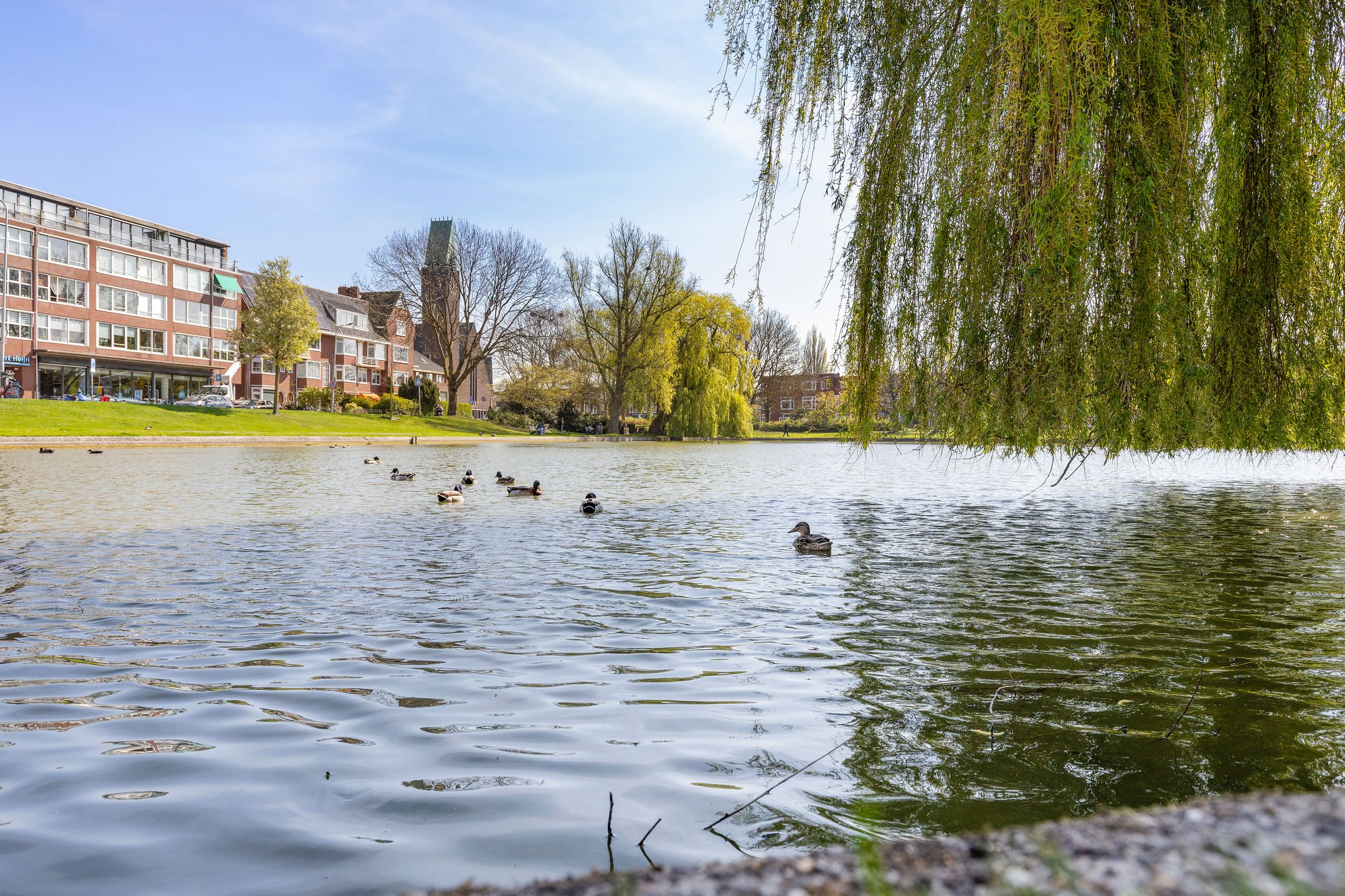 Foto 39 van Floresplein 24-B