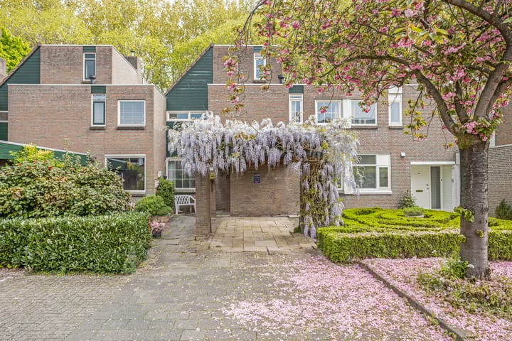 Foto 4 van Zuurbes 5