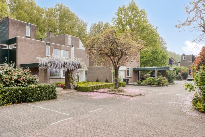 Foto 5 van Zuurbes 5