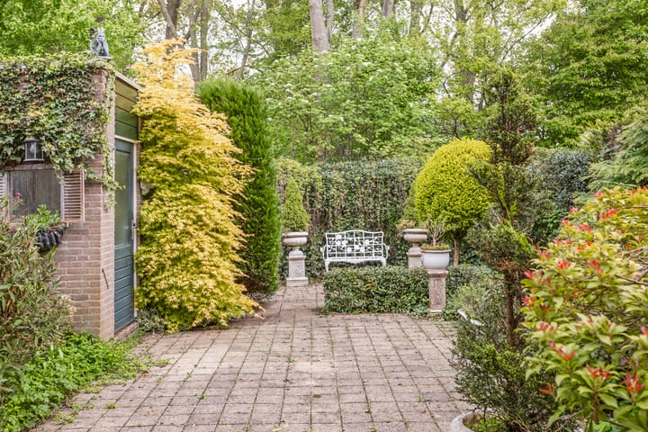 Foto 24 van Zuurbes 5