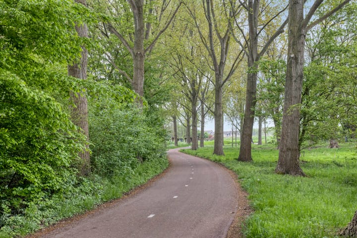 Foto 27 van Zuurbes 5