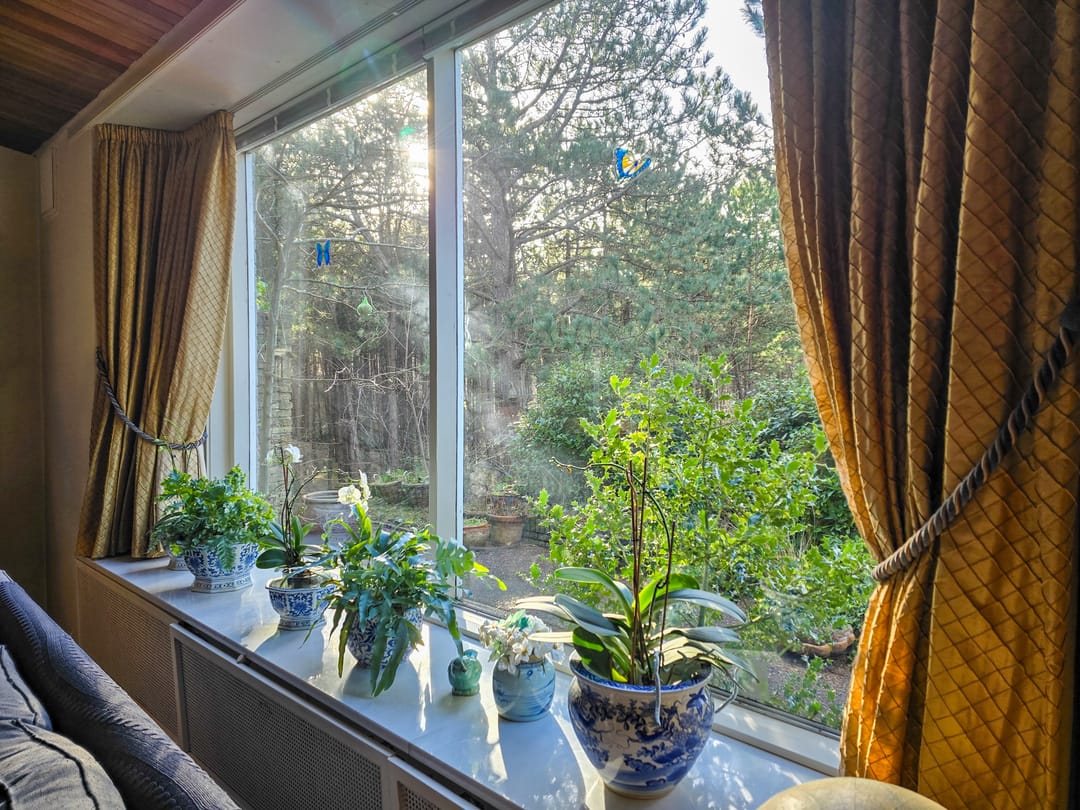 Foto 8 van Prinses Margrietlaan 2