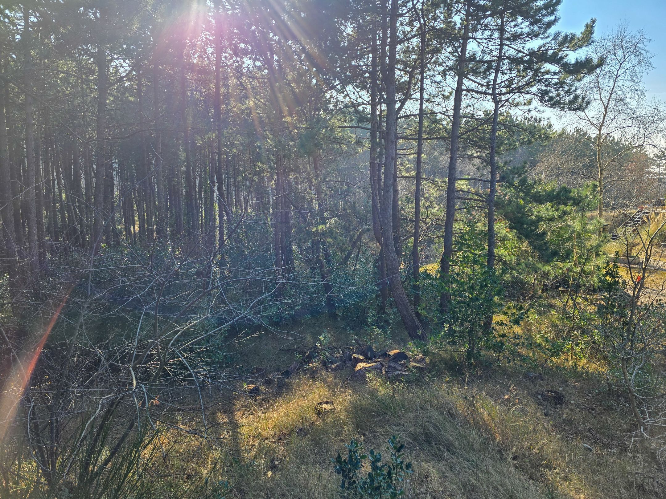 Foto 33 van Prinses Margrietlaan 2