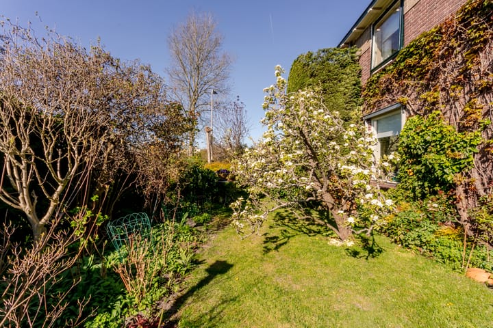 Foto 45 van Glacisweg 31