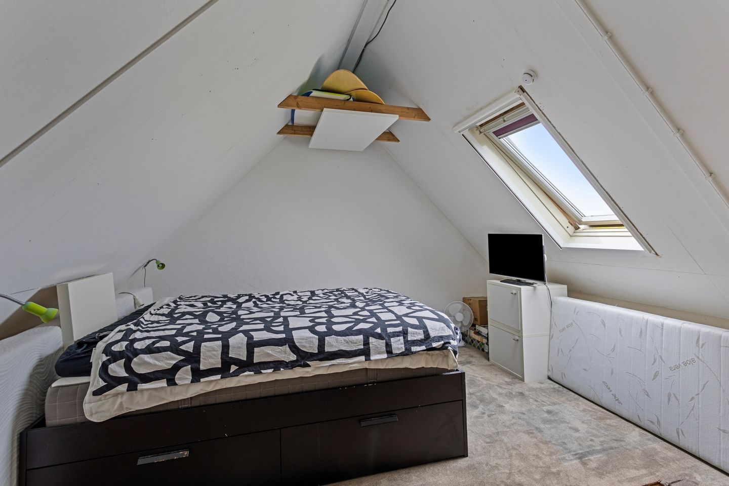 Foto 34 van Grote Beer 63