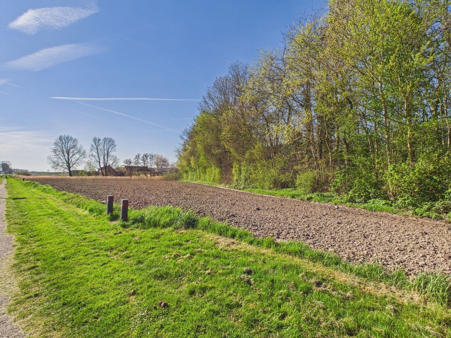 Photo 44 of Singel 4