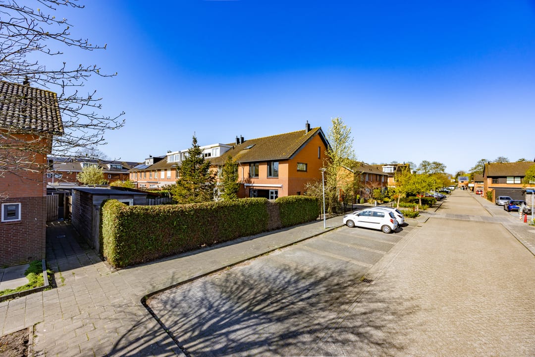 Foto 8 van Auberginepad 16