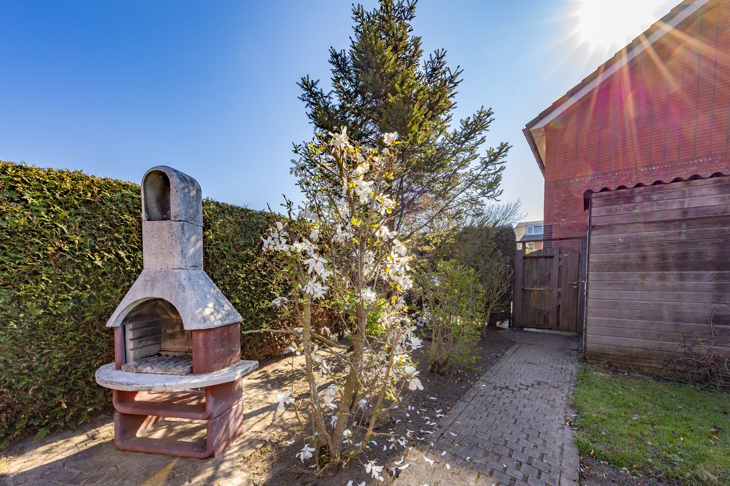 Foto 10 van Auberginepad 16