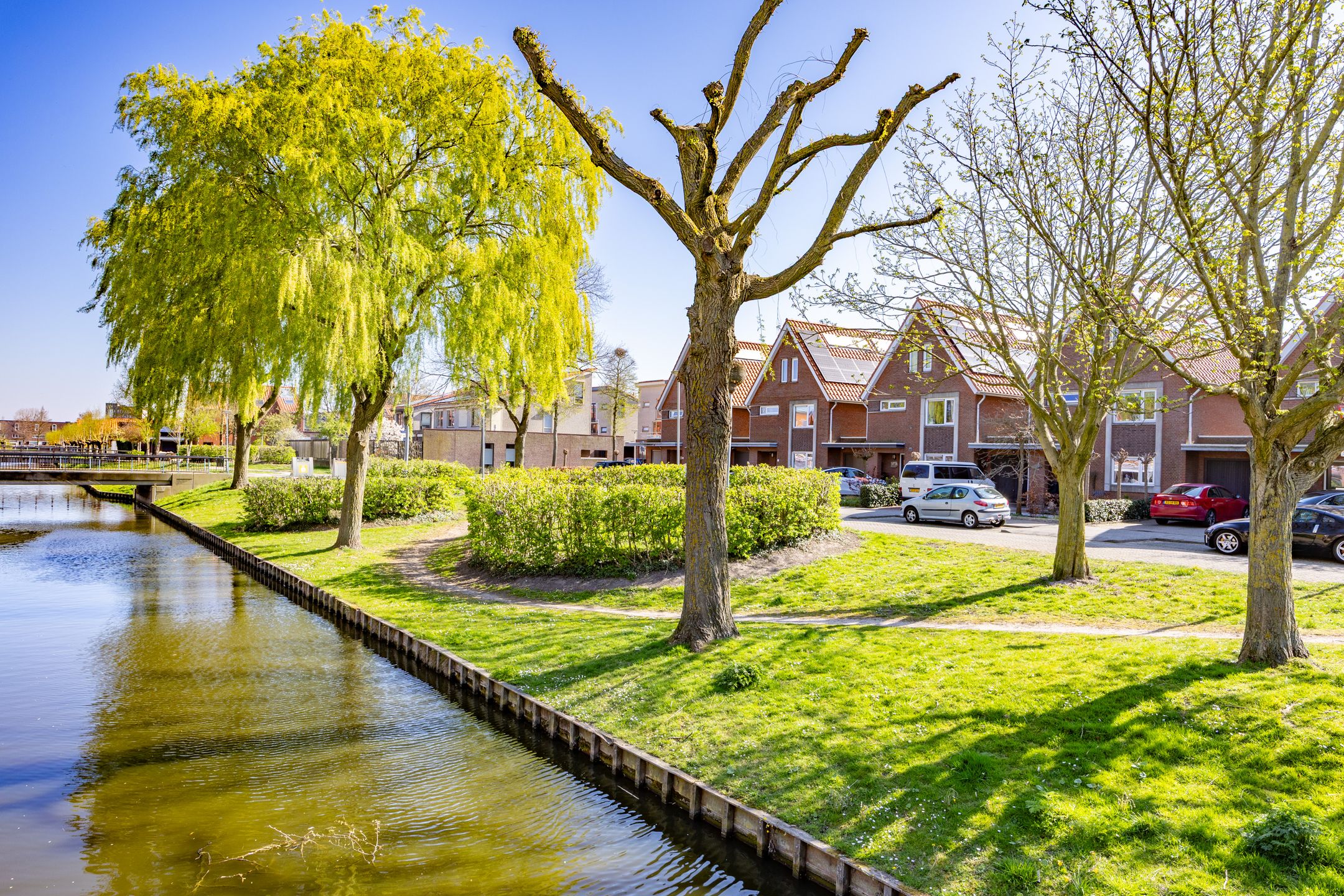 Foto 36 van Auberginepad 16