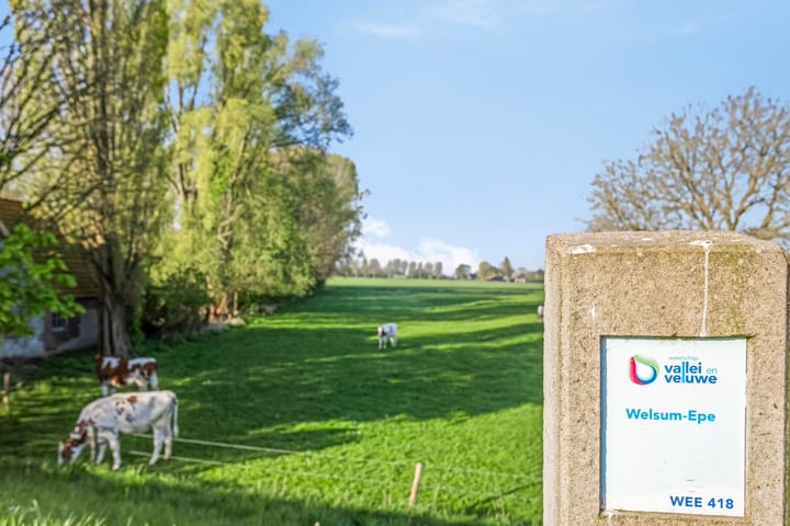 Photo 53 of IJsseldijk 4