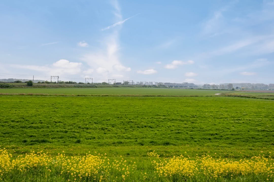 Foto 71 van Maasdijk 35-A