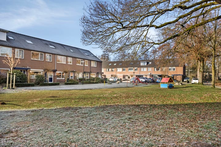 Foto 35 van Schoutenveld 407