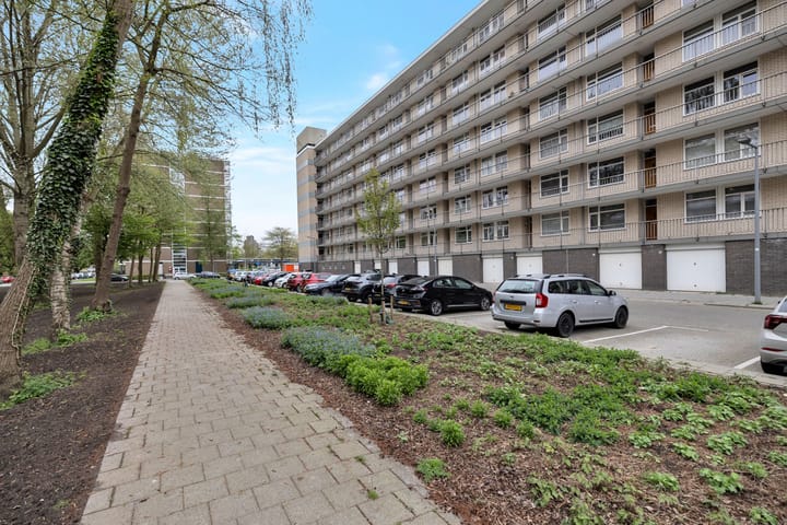 Foto 2 van Everaertstraat 295