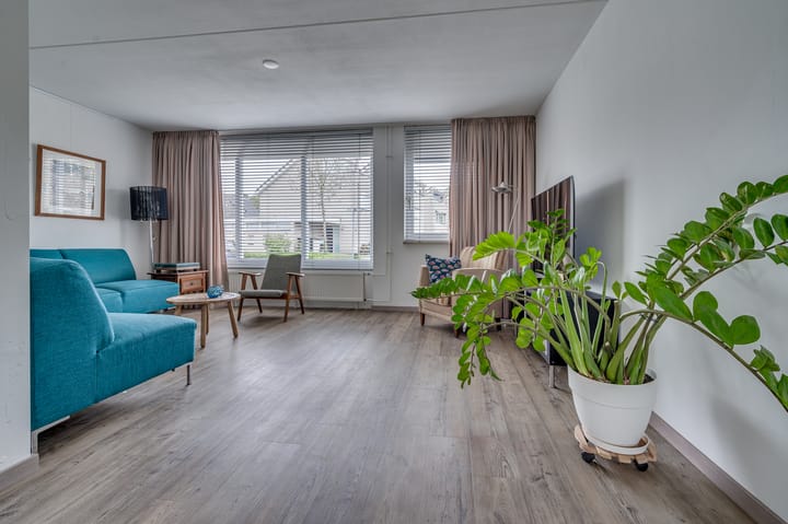 Photo 5 of Honingklaver 28