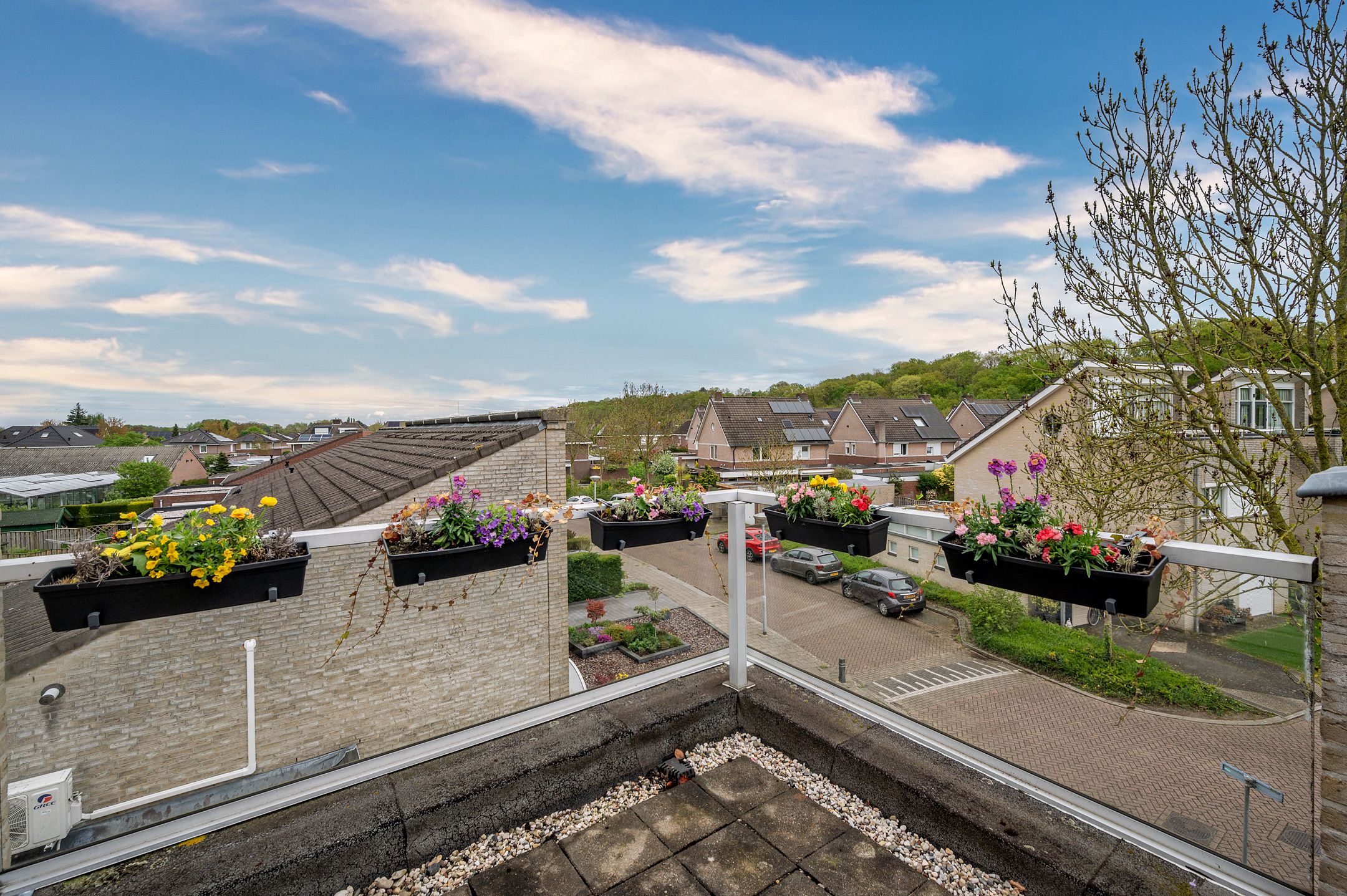 Foto 36 van Honingklaver 28