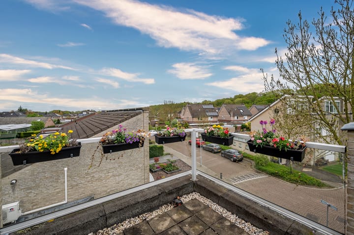 Foto 36 van Honingklaver 28