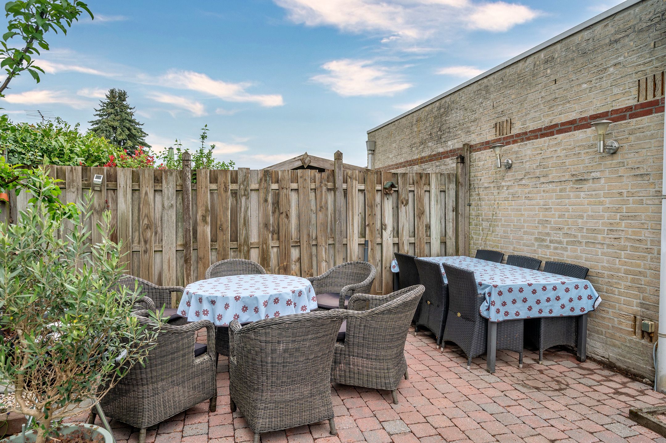 Foto 39 van Honingklaver 28