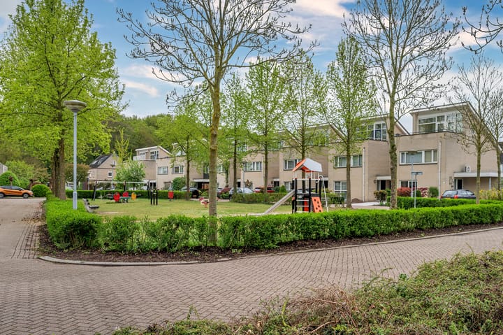 Foto 45 van Honingklaver 28