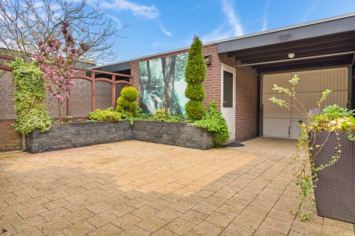 Photo 32 of Molenbeek 5