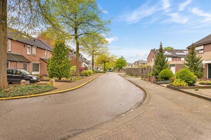 Photo 39 of Molenbeek 5