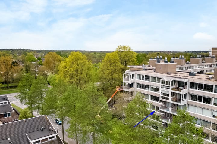 Veenbesstraat 734