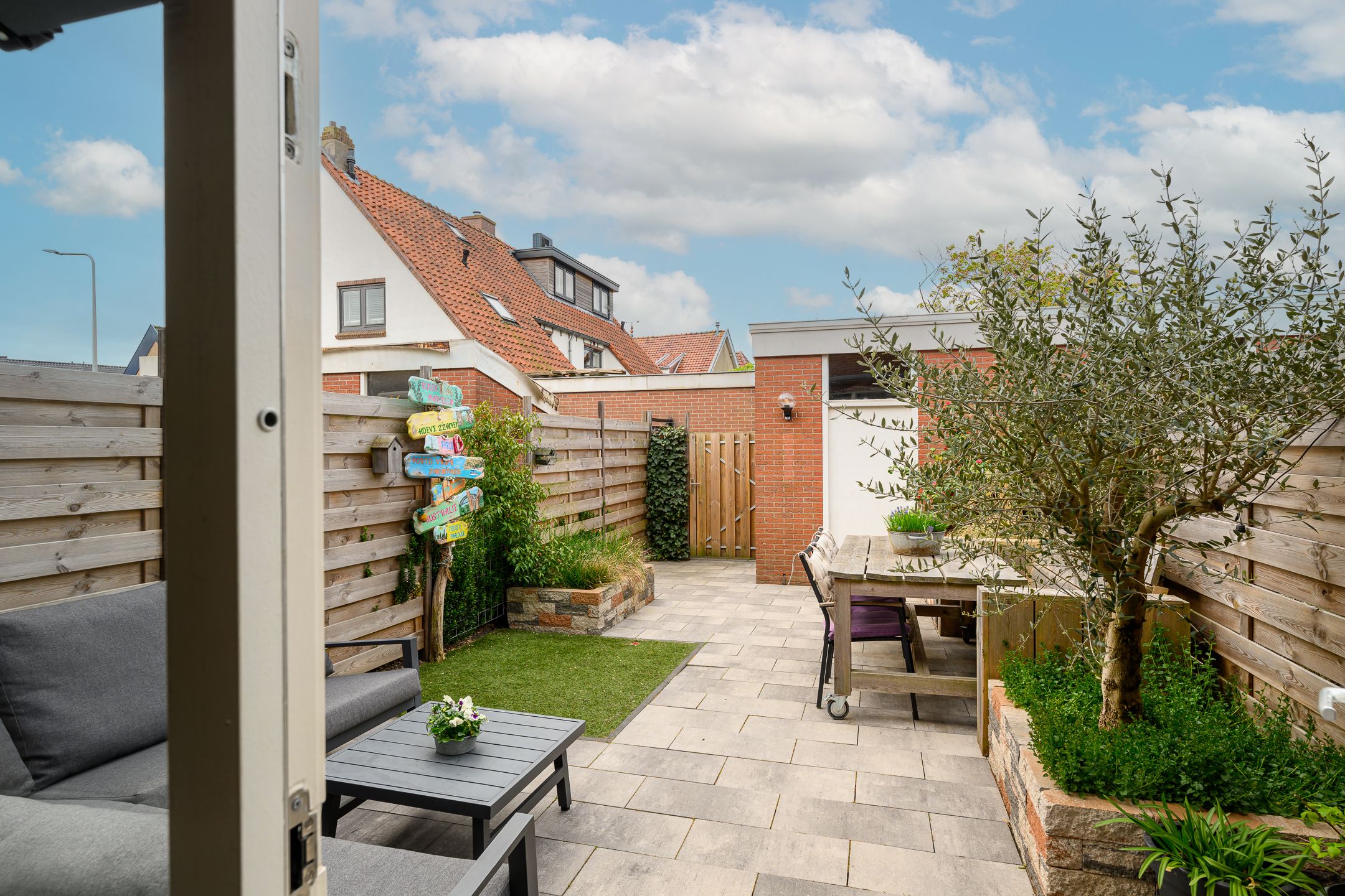 Photo 9 of Crocus 18