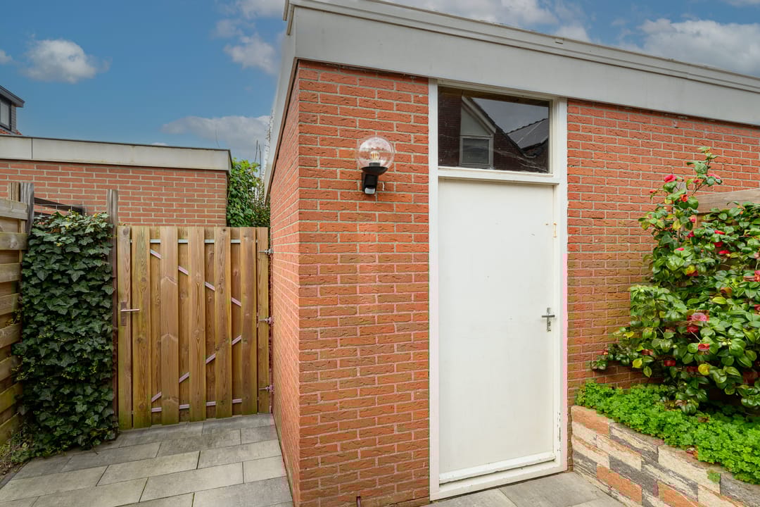 Photo 11 of Crocus 18