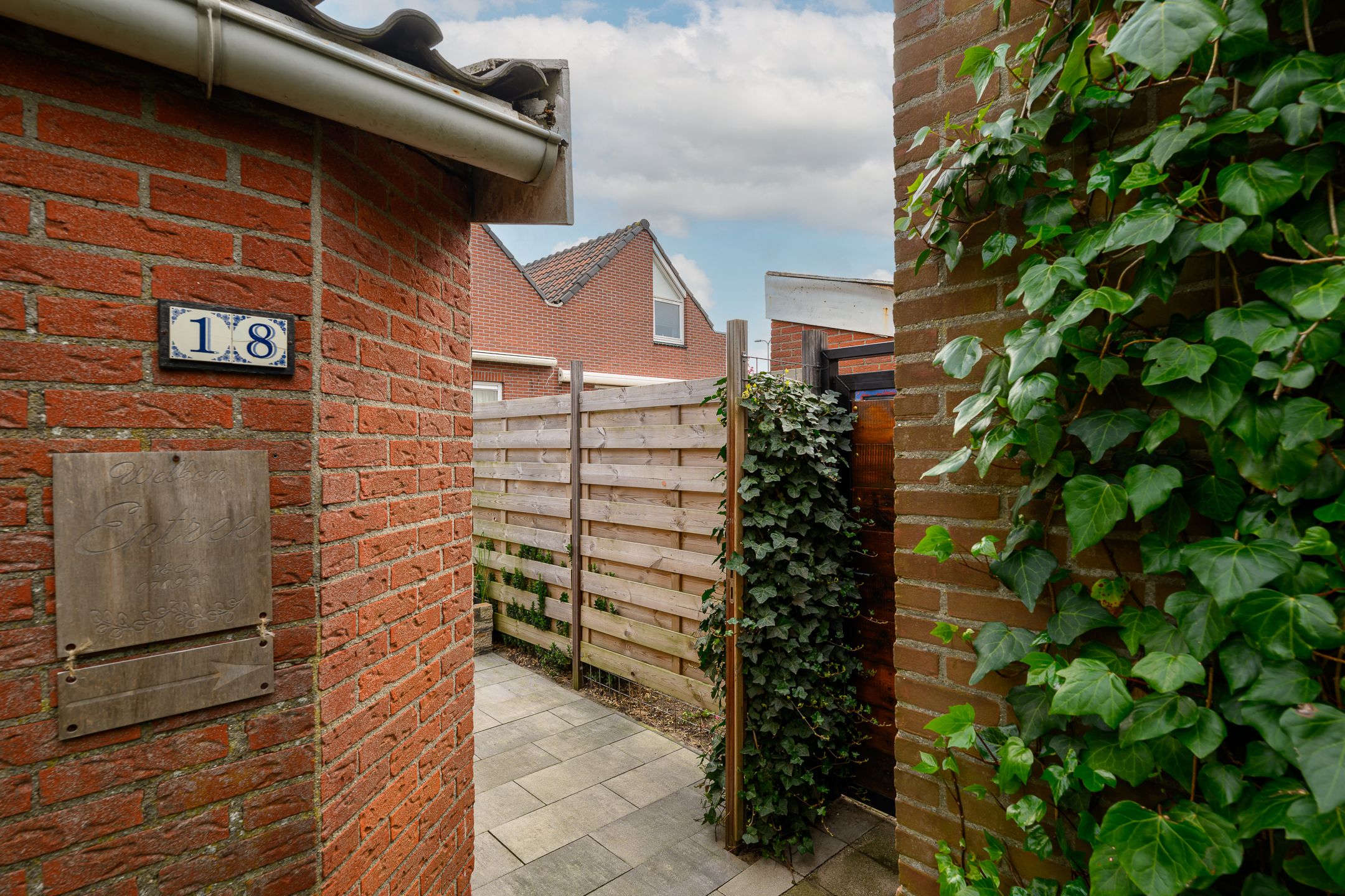 Photo 12 of Crocus 18