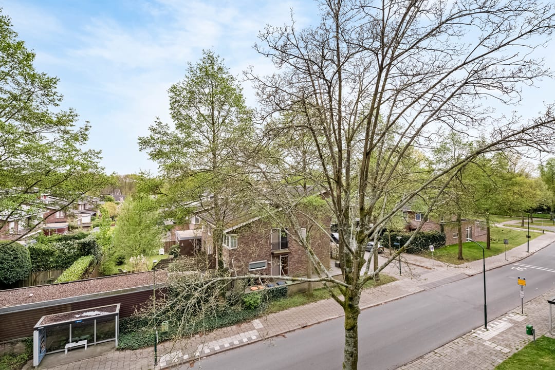 Foto 11 van Veenbesstraat 734