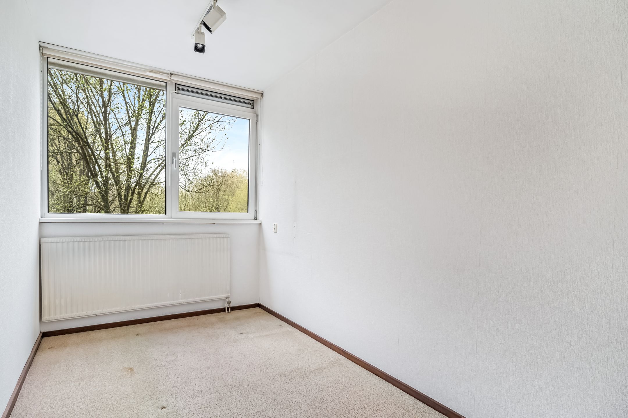 Foto 12 van Veenbesstraat 734