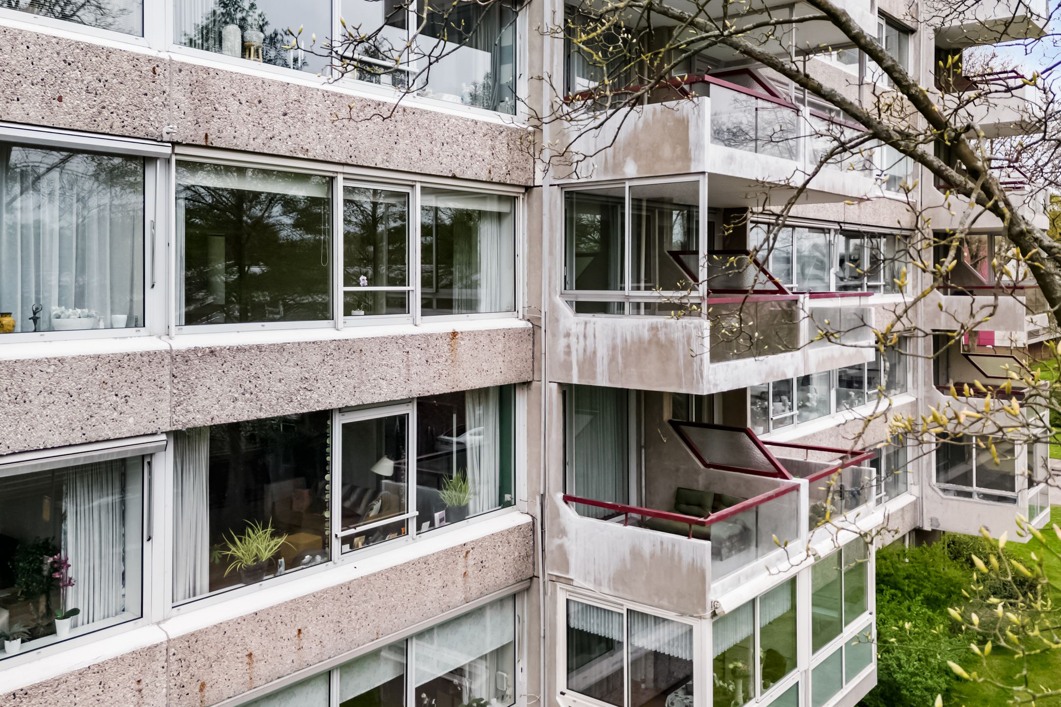 Foto 18 van Veenbesstraat 734