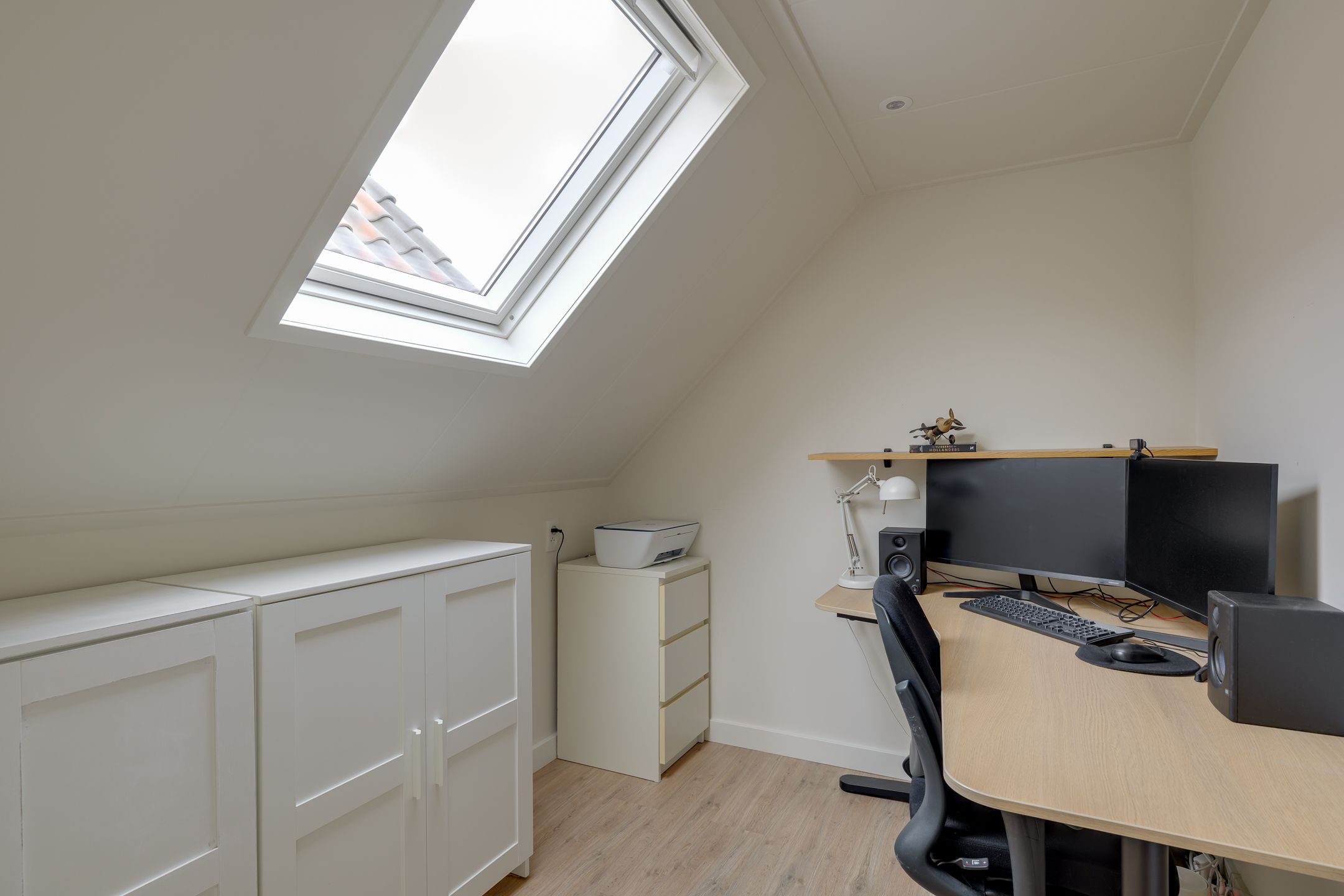 Photo 24 of Crocus 18