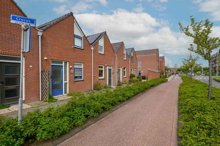 Foto 25 van Crocus 18