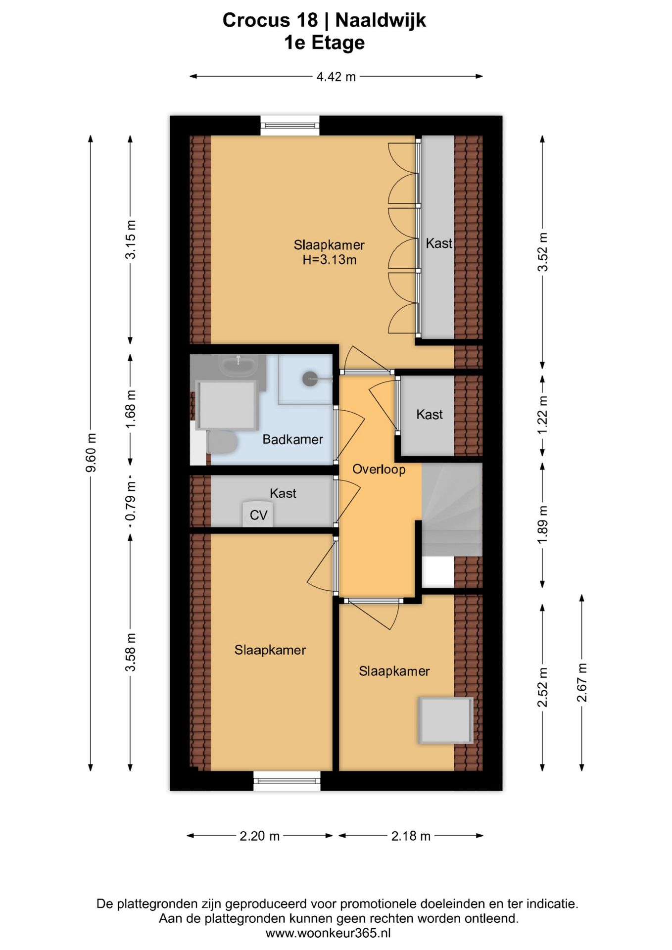 Photo 29 of Crocus 18