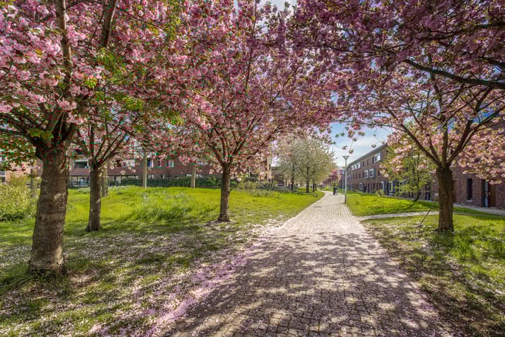 Foto 3 van Reyer Anslostraat 24