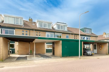 Maasdal thumbnail