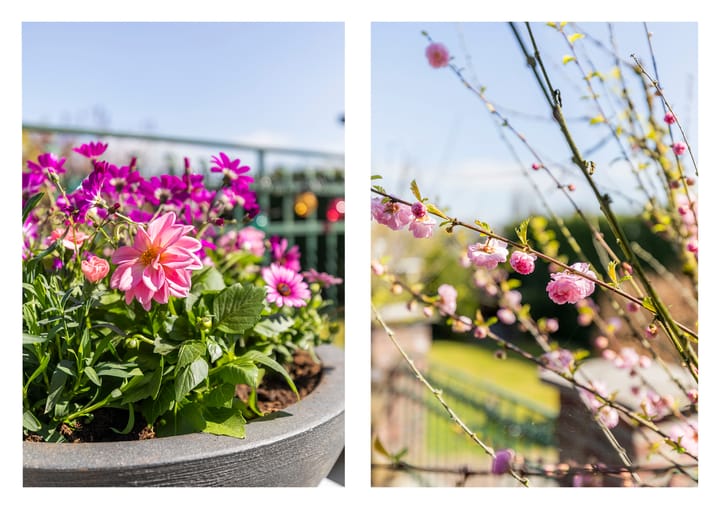 Foto 21 van Noldijk 165