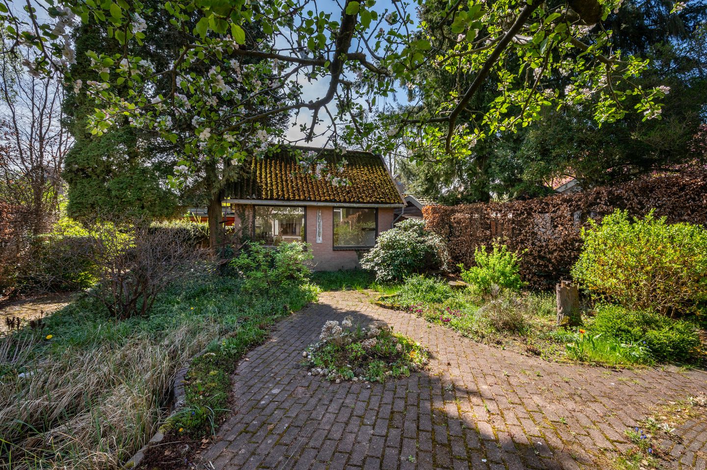 Foto 40 van Soerenseweg 41