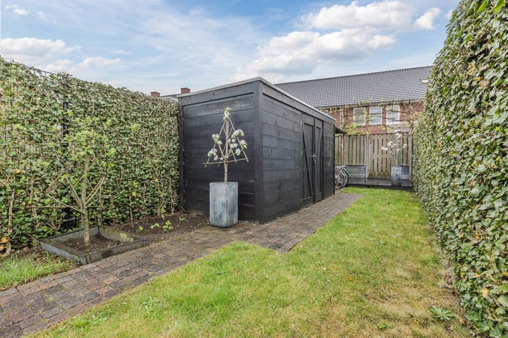 Foto 45 van Dorshout 4