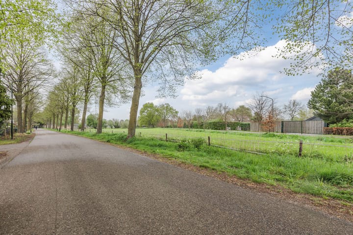 Foto 50 van Dorshout 4