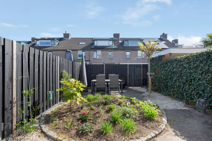 Foto 3 van Heidevlinder 8