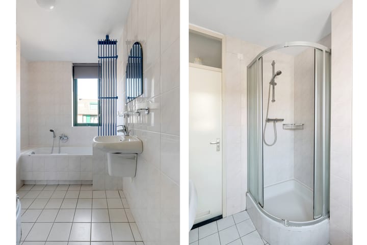 Foto 16 van Heidevlinder 8