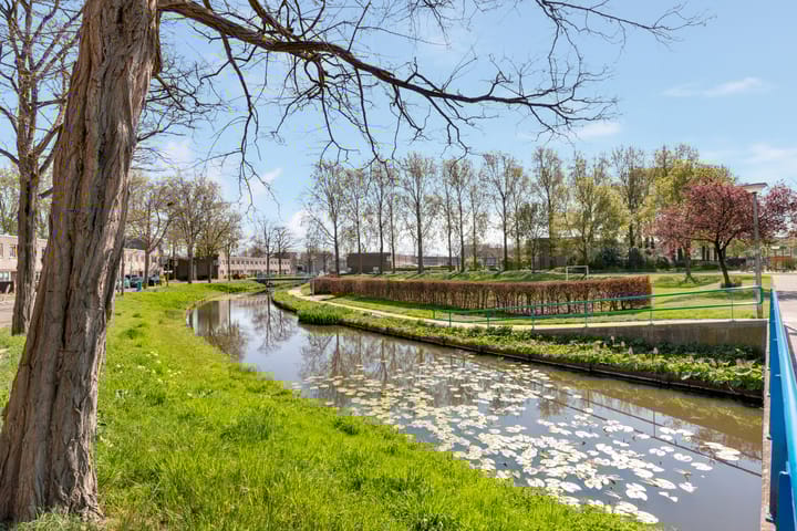 Foto 28 van Heidevlinder 8