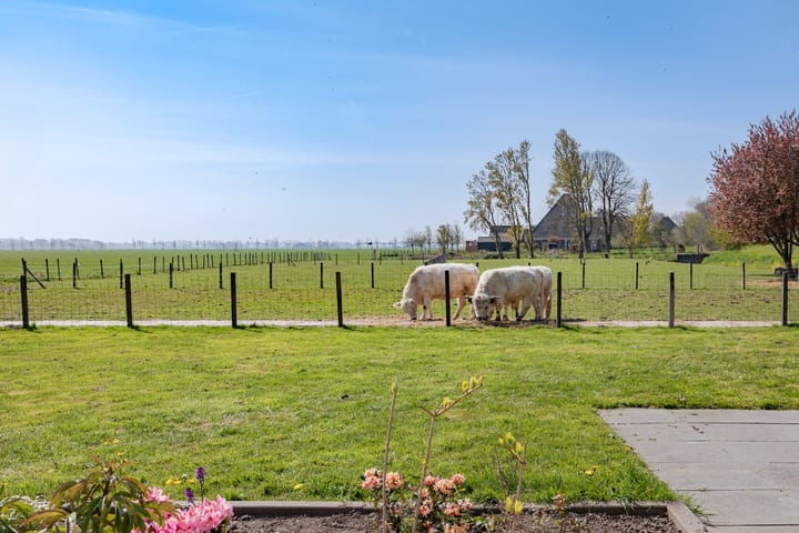 Foto 27 van Westdijk 39