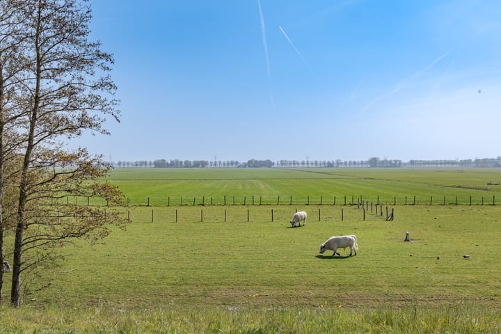 Foto 28 van Westdijk 39