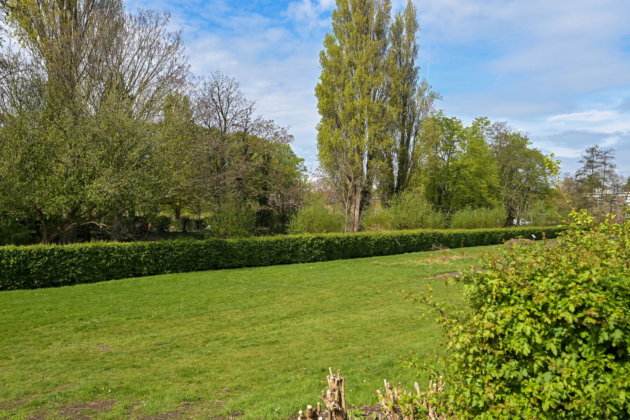 Foto 24 van Kamperfoeliestraat 175