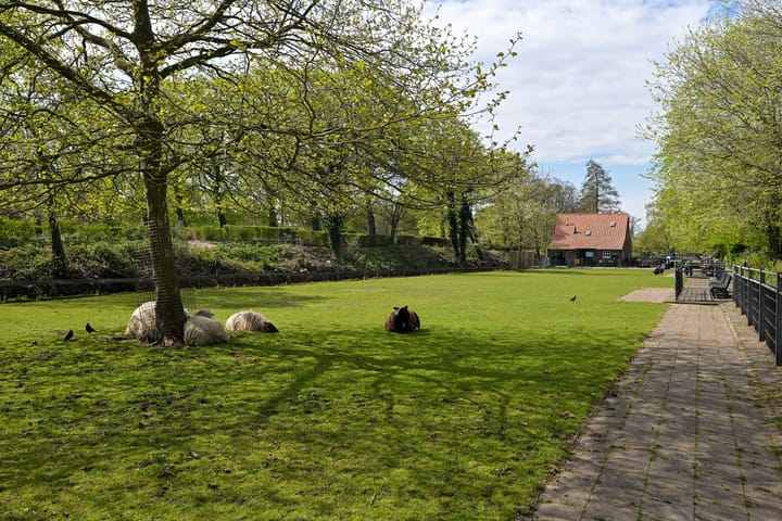 Foto 29 van Kamperfoeliestraat 175